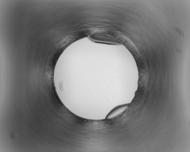 X0000116570329201001071159