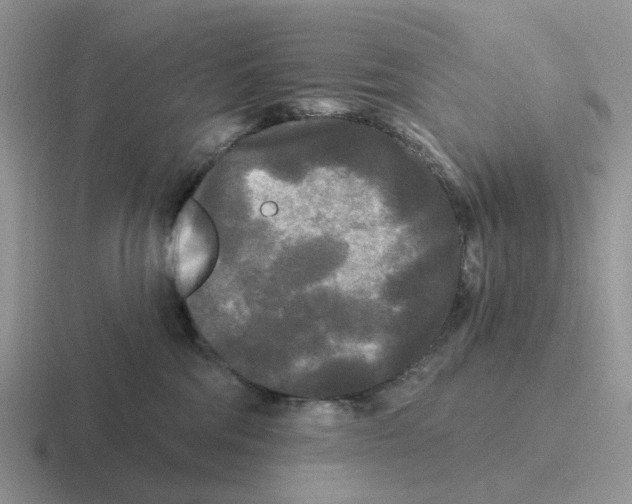 X0000116570330201001071159