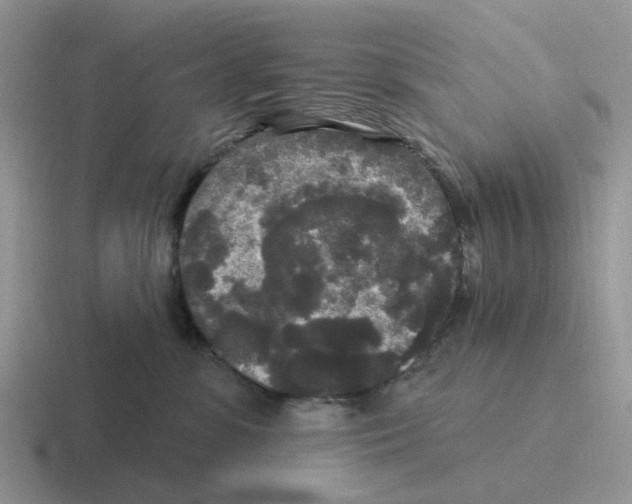 X0000116570331201001071159