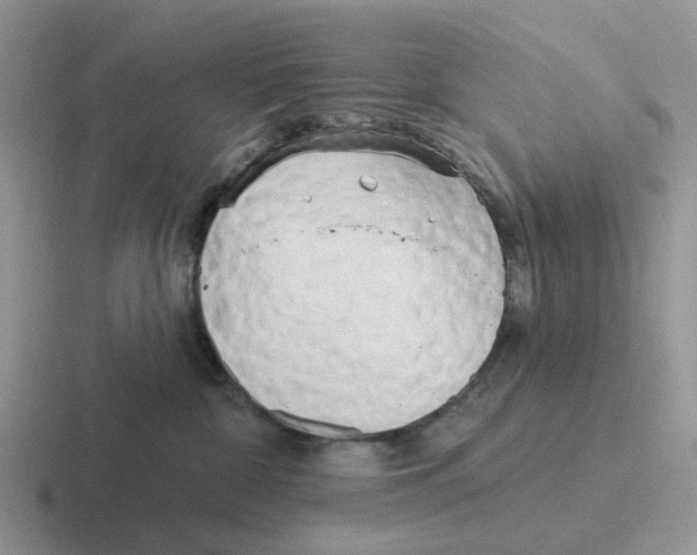 X0000116570332201001071159