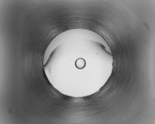 X0000116570333201001071159