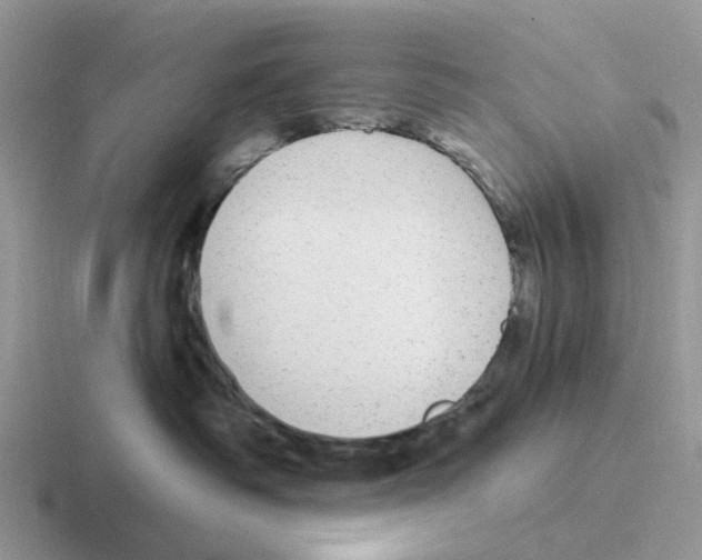 X0000116570334201001071159