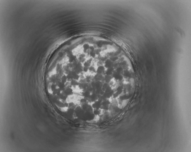 X0000116570337201001071159