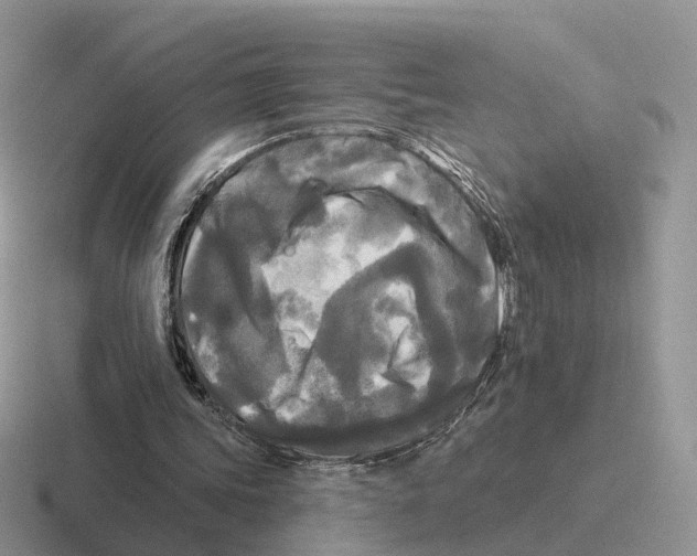 X0000116570339201001071159