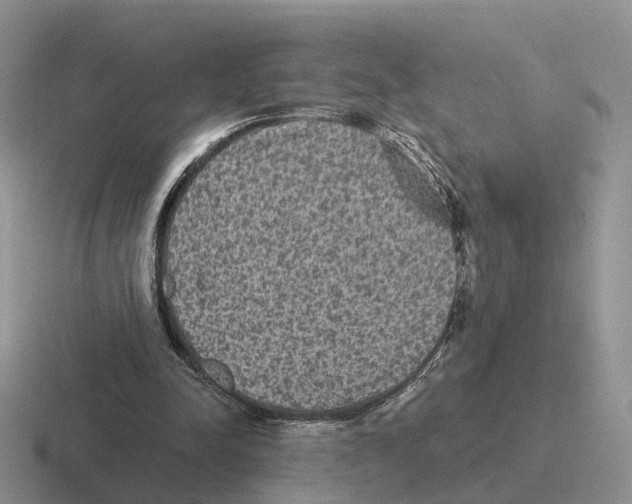 X0000116570342201001071159