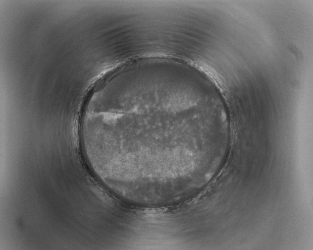 X0000116570345201001071159