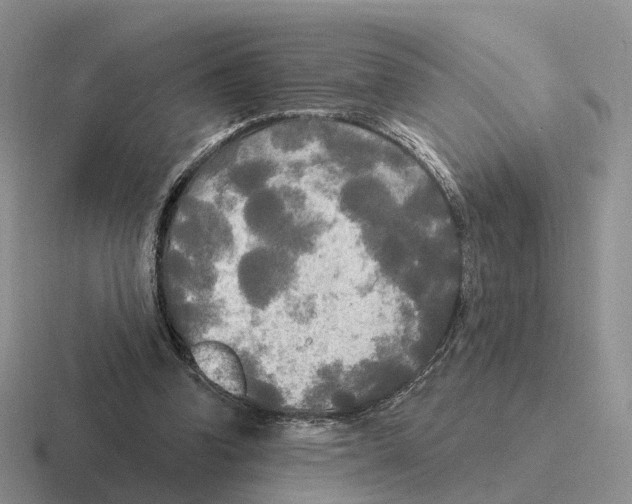 X0000116570346201001071159