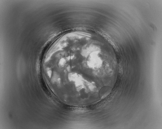 X0000116570347201001071159