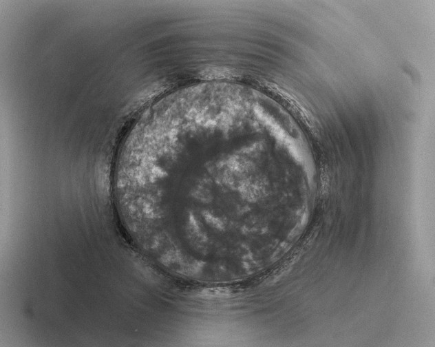 X0000116570353201001071159