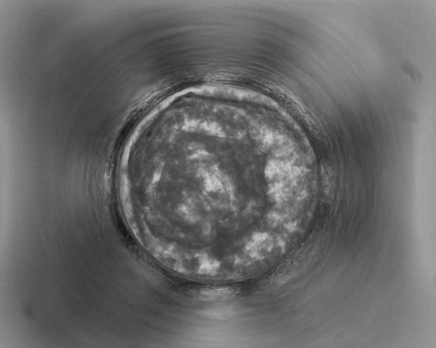 X0000116570357201001071159