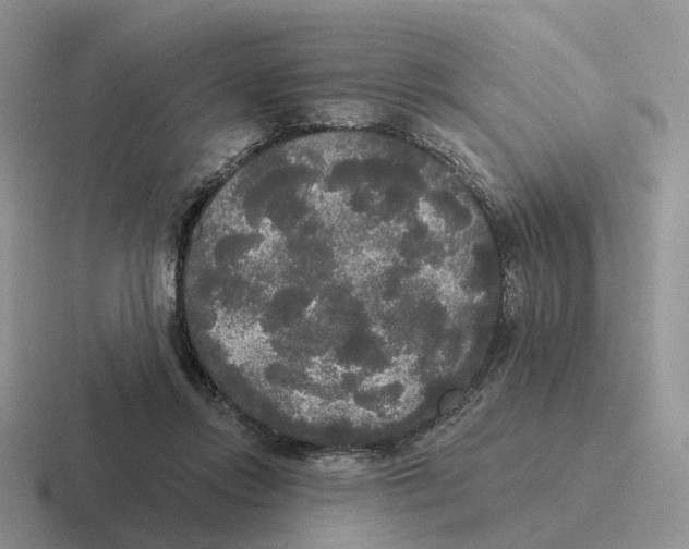 X0000116570358201001071159