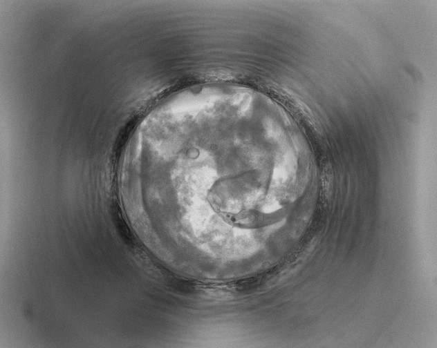 X0000116570359201001071159