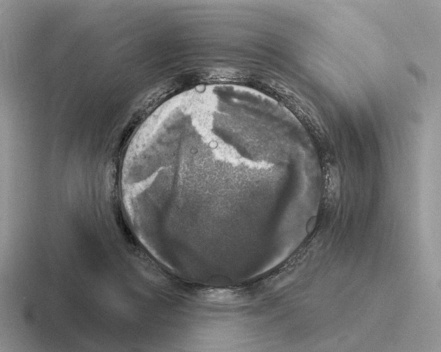 X0000116570361201001071159