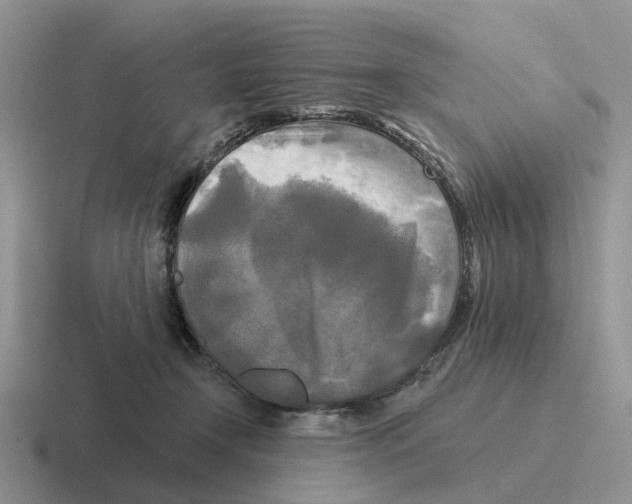 X0000116570366201001071159