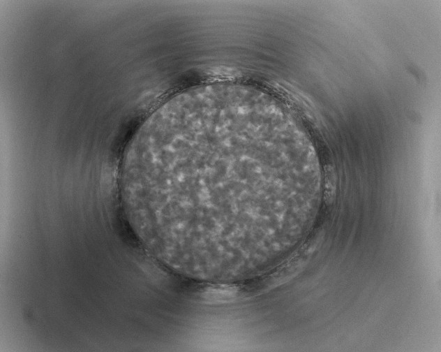 X0000116570369201001071159