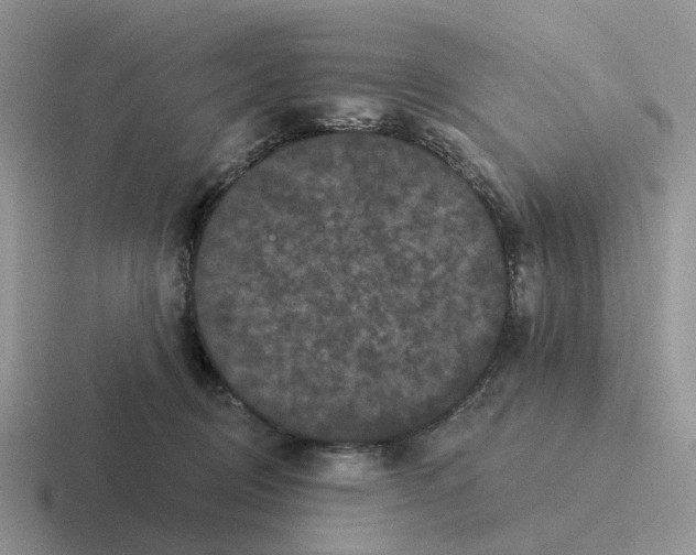 X0000116570370201001071159