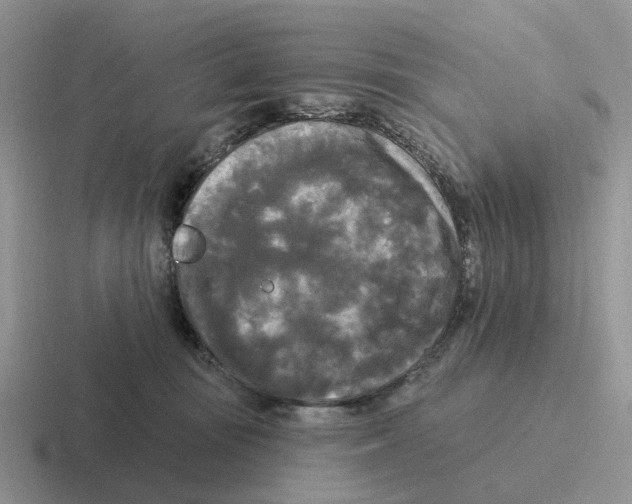 X0000116570371201001071159