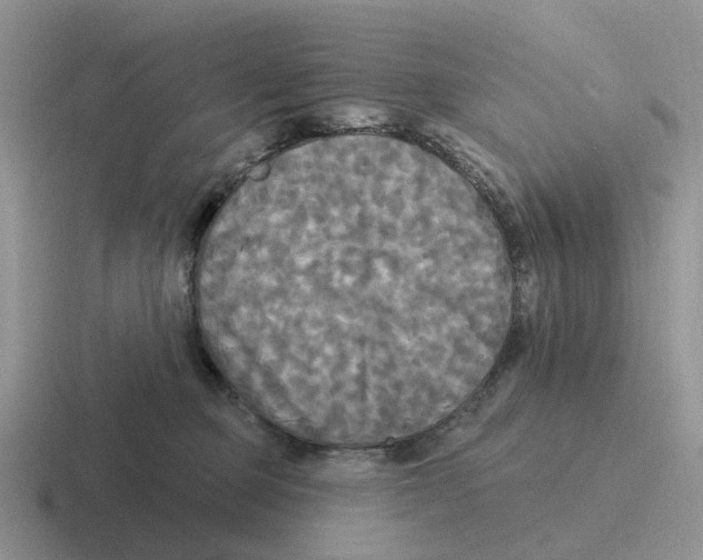 X0000116570373201001071159