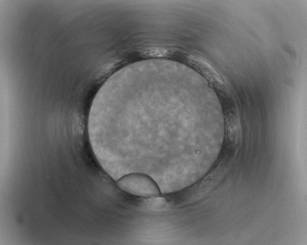 X0000116570374201001071159