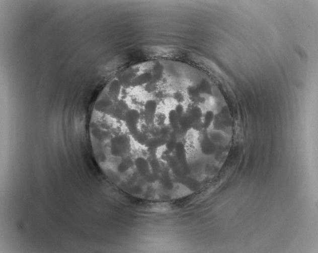 X0000116570377201001071159