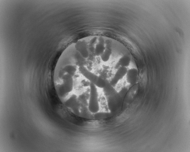 X0000116570381201001071159