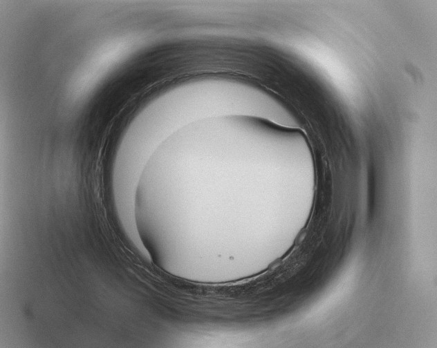 X0000116570387201001071159