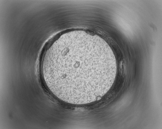 X0000116570388201001071159