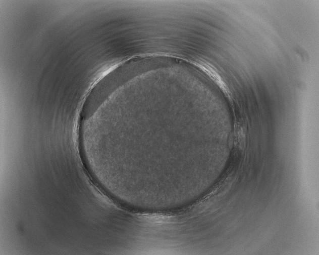 X0000116570389201001071159