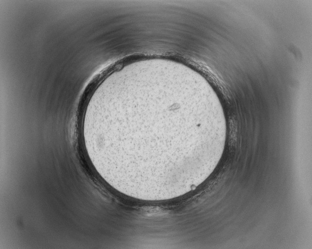 X0000116570392201001071159