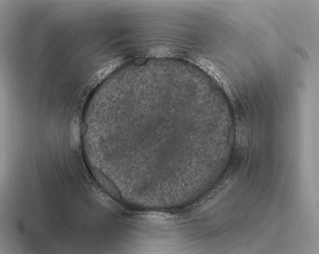 X0000116570393201001071159