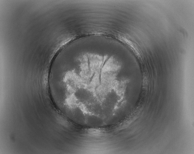 X0000116570394201001071159