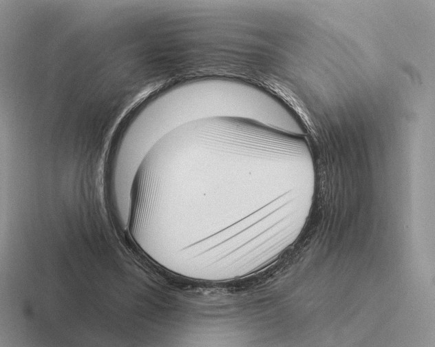 X0000116570395201001071159