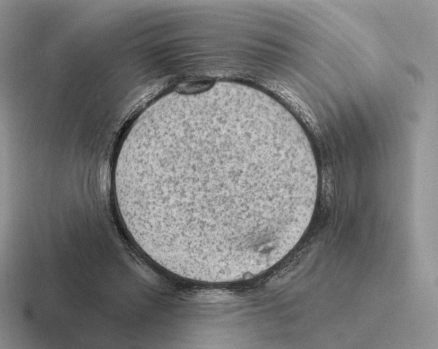 X0000116570397201001071159