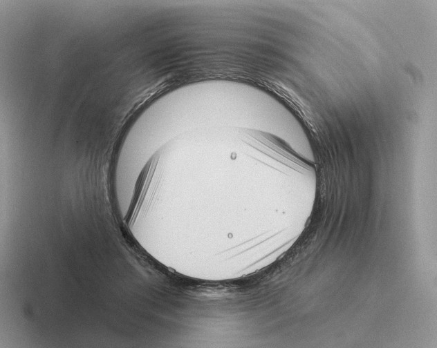 X0000116570405201001071158