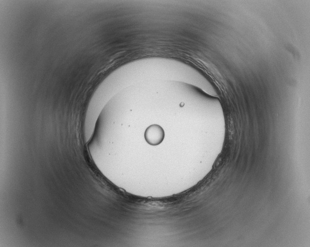 X0000116570409201001071158