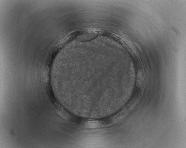 X0000116570413201001071158