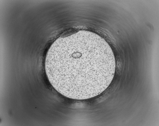 X0000116570416201001071158