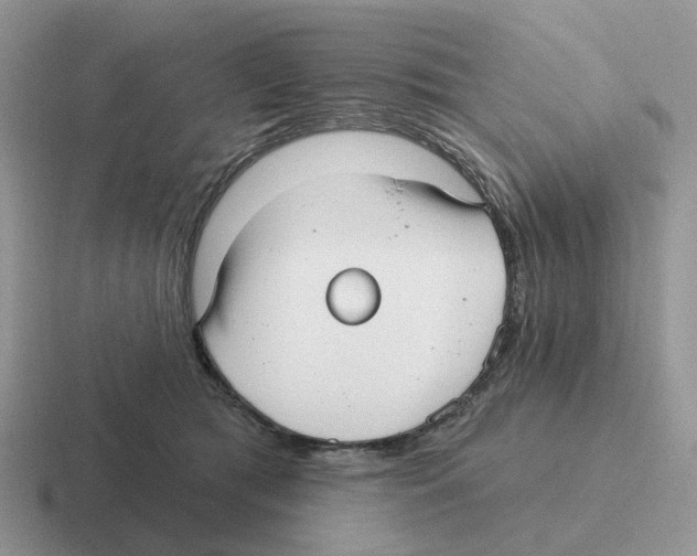 X0000116570417201001071158