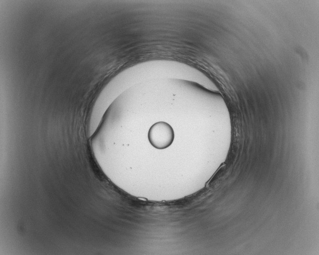 X0000116570419201001071158