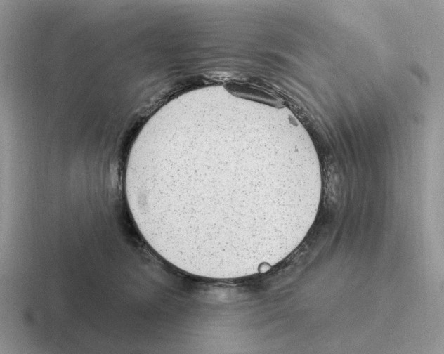 X0000116570420201001071158