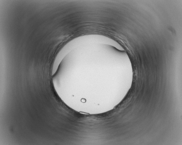 X0000116570423201001071158