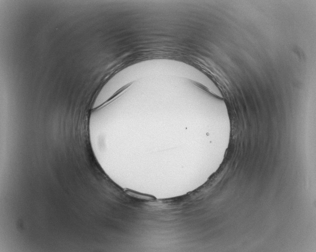 X0000116570425201001071158