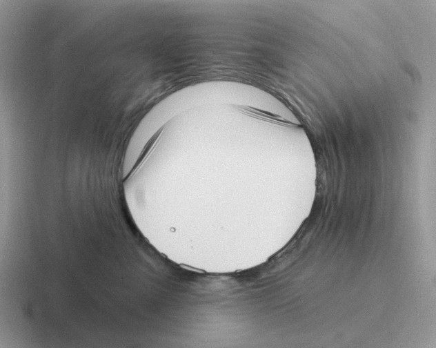 X0000116570427201001071158