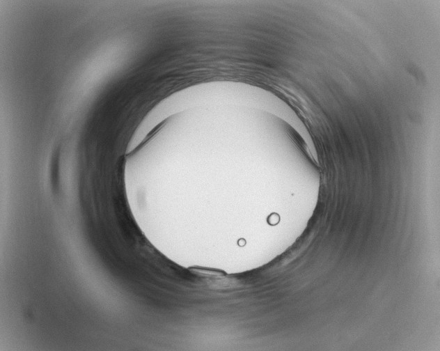 X0000116570429201001071158