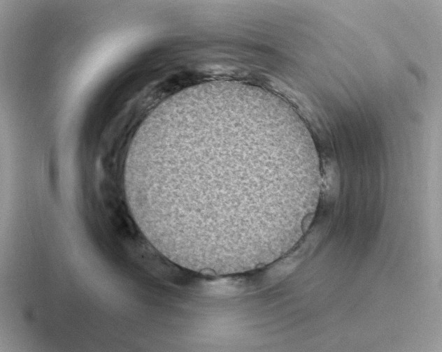 X0000116570430201001071158