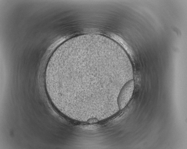 X0000116570433201001071157