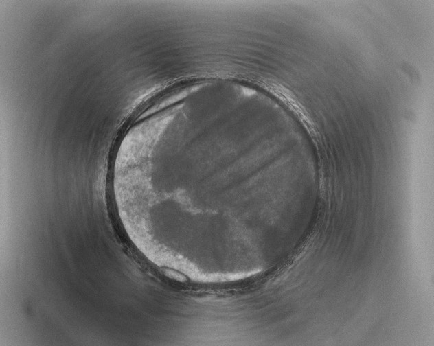 X0000116570434201001071157