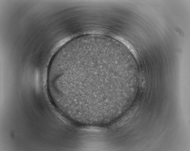 X0000116570437201001071158