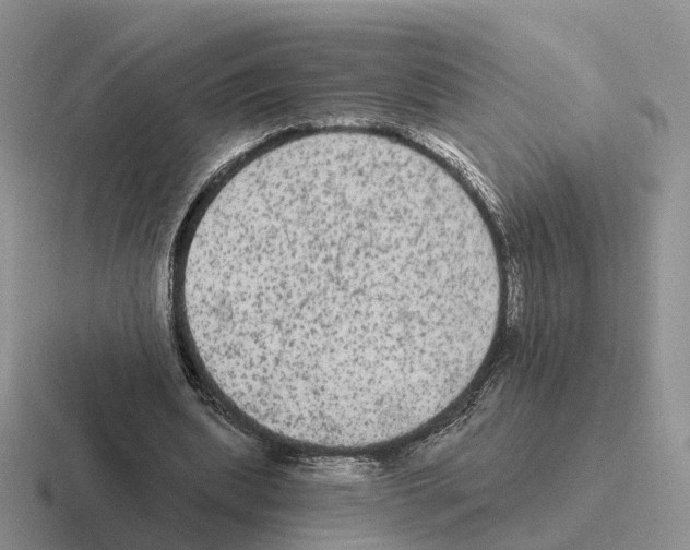 X0000116570439201001071158