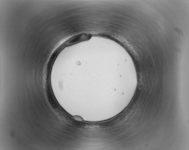 X0000116570440201001071158